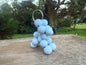 Balloon Dog