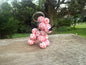 Balloon Dog