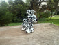 Balloon Dog
