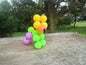 Balloon Dog