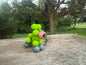 Balloon Dog